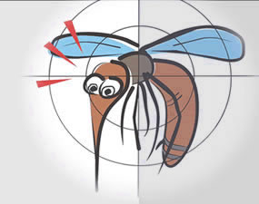 Entidades médicas temem epidemia de dengue
